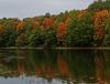IMG_20210921_111827.thumb.jpg.a6231a1e1661e952b0e1c921ff29ed77.jpg