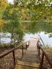IMG_20210921_115619.thumb.jpg.6a0081778b50d629a534ad202b45c53e.jpg