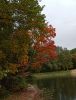 IMG_20210921_115658.thumb.jpg.88479c6fe5c75af1fa0089d8961e840d.jpg