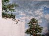 IMG_20210921_215241.thumb.jpg.db3f049f3d5a3d0401f86bb72241640e.jpg