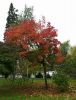IMG_20210924_132931.thumb.jpg.403f31a841ad1e1e318f0e3d012297b9.jpg
