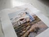 IMG_20210924_144609.thumb.jpg.f22d6b1f6102a345be5160498a9f56f6.jpg