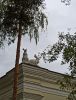IMG_20210924_144945.thumb.jpg.288a1c9060ddd70ca72f8db40f47aad5.jpg