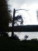 IMG_20210926_150247.thumb.jpg.530ac31aaf4b79bdcf6761c2aa368683.jpg