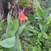 IMG_20210926_160512.jpg