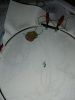 IMG_20210930_110232.jpg