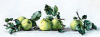 IMG_3159-1.png.dc17a4b200aae422dabc9eda68f82dd1.thumb.png.1654386e3af71ca6a672acce70199b75.png