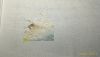 P_20210914_011127_1_p.thumb.jpg.debbb41ed8254ff9c3dc6cc92cbf7a07.jpg