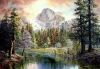 natures-wonderland-nicky-boehme.thumb.jpg.2f76515302ba5c4525d0a235d2b4e612.jpg