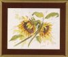 0030822_podsolnuhi-sunflowers_400.thumb.jpeg.568886c7ca262d80808d15f70f53e5b4.jpeg