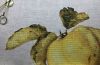 1.thumb.jpeg.7e0a97a63b40a14674b50ffe0b0cec02.jpeg