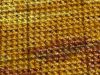 1.thumb.jpg.19d4fb8f1ee1b4c7e35689e7615bf0b1.jpg