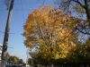 1017004022_2.thumb.JPG.ec240a325cd8556396f46a8c9a6a8c57.JPG