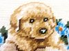 11.thumb.jpg.b7f8d31fe34c953597f813e62f8d8183.jpg