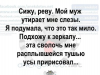1136379153_13.thumb.png.4229f2b0ff7c5d0c1c8fb593d375eafb.png