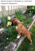 1151645313_.thumb.jpg.585c9d91eae36d9782230dd124efb274.jpg