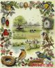 Anchor PSC52, Лесные птицы (Birds Sampler)