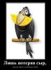 1301685002_.thumb.jpg.f5af19b1199c1da20b40b1c18b0cee55.jpg