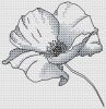 1603007509_1.thumb.jpg.c2fa18211daf6d8e9938513ec6892174.jpg