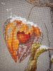 1710983816__19.thumb.jpg.85db87b95d7e71d4bfa881fbe124bcc6.jpg