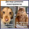 1776161371_.thumb.jpg.ac41aa7fcc8be84bb242efb857beb5cd.jpg