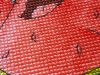 20210724_074743.thumb.jpg.dac2def83c589a2c9f7af1956c9371a9.jpg