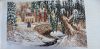20210922_101440.thumb.jpg.1316e819b82cf72d866bc4417757dcfa.jpg