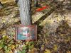 20211002_085846.thumb.jpg.cc1cc5b891a09bcfee26d1a0fbd9e8e5.jpg