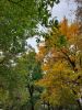 20211002_144704.thumb.jpg.80a00ddd96f691c1d8cd5fff6457b787.jpg
