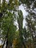 20211002_145156.thumb.jpg.87694b2302825952f5918bc83c0e7dfd.jpg
