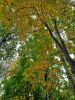 20211002_145236.thumb.jpg.a3470ffe529d6c6ff40c2cc54bb6f326.jpg