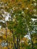 20211002_145312.thumb.jpg.cf9789a9fedd8589245275a3434ad46a.jpg