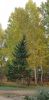 20211003_133520.thumb.jpg.adf5aa6cd8370fd4c7a6a3ab8de2a8dc.jpg