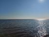 20211004_130411.thumb.jpg.ebc86cb076c610342fdfea4655bee47c.jpg