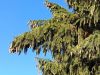 20211004_142217.thumb.jpg.d3df416c539e4960f2aa1c92b7eccfc1.jpg