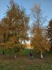 20211004_172846.thumb.jpg.fad94f2c04b1b0ebca835d26e6e5e91b.jpg