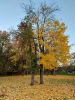 20211004_175944.thumb.jpg.28eedb28372fb14c66aa55917166a227.jpg