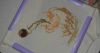 20211005_084227.thumb.jpg.b20d0b6c8d9f64a9ca51147b7d61dbc5.jpg