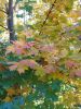 20211005_113323.thumb.jpg.d104db8450a636c87cad2bffee92f008.jpg