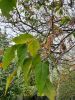 20211005_124640.thumb.jpg.4bb7be71498a60d888ee5871fe959b0e.jpg