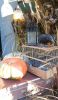 20211006_162251.thumb.jpg.79841c8379246e8e2d73c93f28086ebb.jpg
