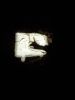 20211007_120455.thumb.jpg.a4eeccb8b50532ca7eed8fcdd080a158.jpg