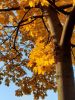 20211007_165351.thumb.jpg.32390d32ea0dab94aa6dbf786bd6ec2d.jpg