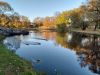 20211007_172534.thumb.jpg.d92470dfe38026e7d4c397dda45fb1aa.jpg