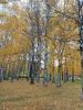 20211010_125304.thumb.jpg.b151764115637787d6ff31fa4fa21dd6.jpg
