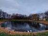 20211010_181932.thumb.jpg.fa886a60bd46737d02b145ab531a8d60.jpg