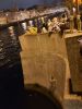 20211010_192118.thumb.jpg.b3036f0f5340824c9905f459bc941a5d.jpg