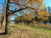 20211011_134455.thumb.jpg.2b149dedb6fb9ead22528c26ebe02bff.jpg
