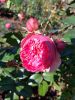 20211011_143029.thumb.jpg.a2f920ecaea60d6ba67178d0088c88ff.jpg