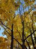 20211011_143903.thumb.jpg.ca55bf23eb56e2d22d6eeed5859d731a.jpg
